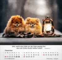 Kalender Hunde - Tischkalender