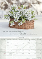 Momente der Freude - Posterkalender