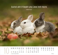 Kalender Beste Freunde - Ich mag dich - Posterkalender