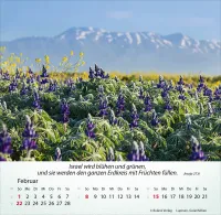 Kalender Israel Shalom - Tischkalender