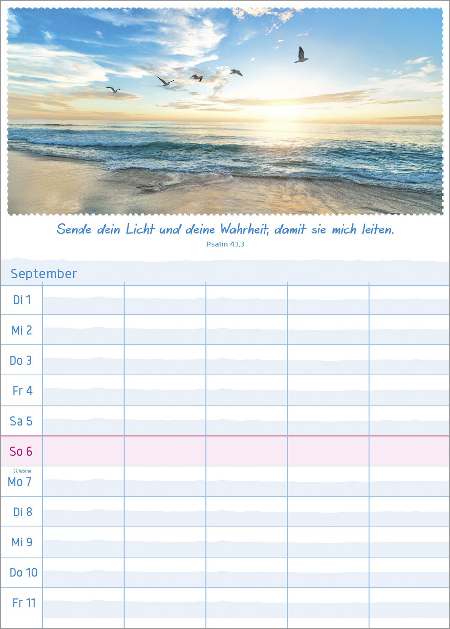 Multiplaner - Posterkalender
