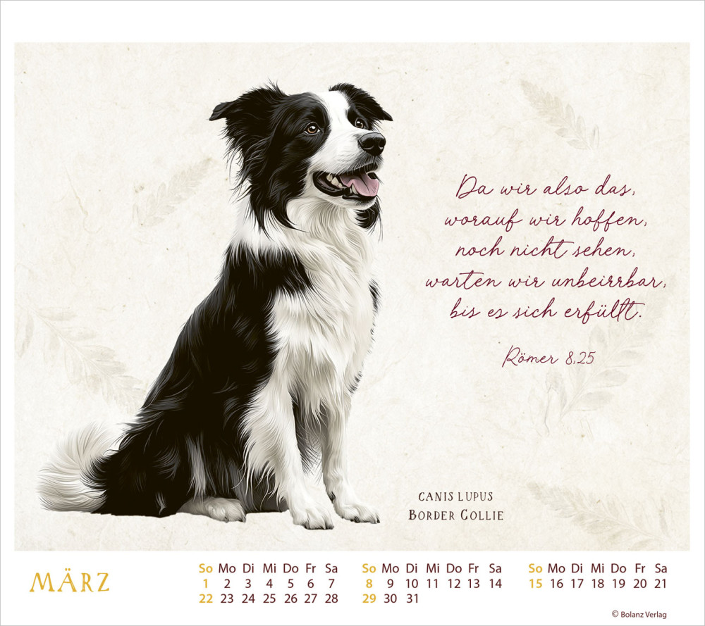 MeisterWerke des Schöpfers - Tischkalender