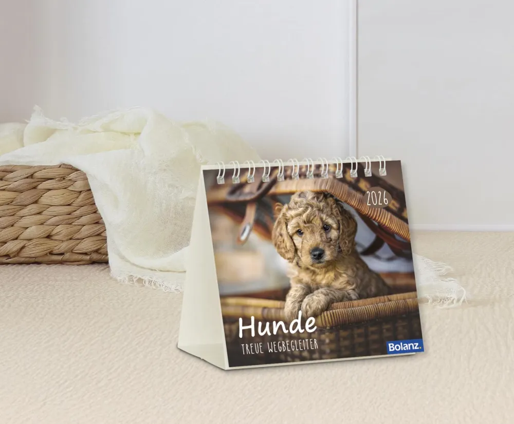 Kalender Hunde - Treue Wegbegleiter - Minikalender