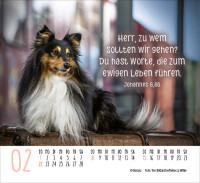 Kalender Hunde - Treue Wegbegleiter - Minikalender