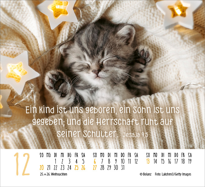 Kalender Katzen - Auf leisen Pfoten - Minikalender