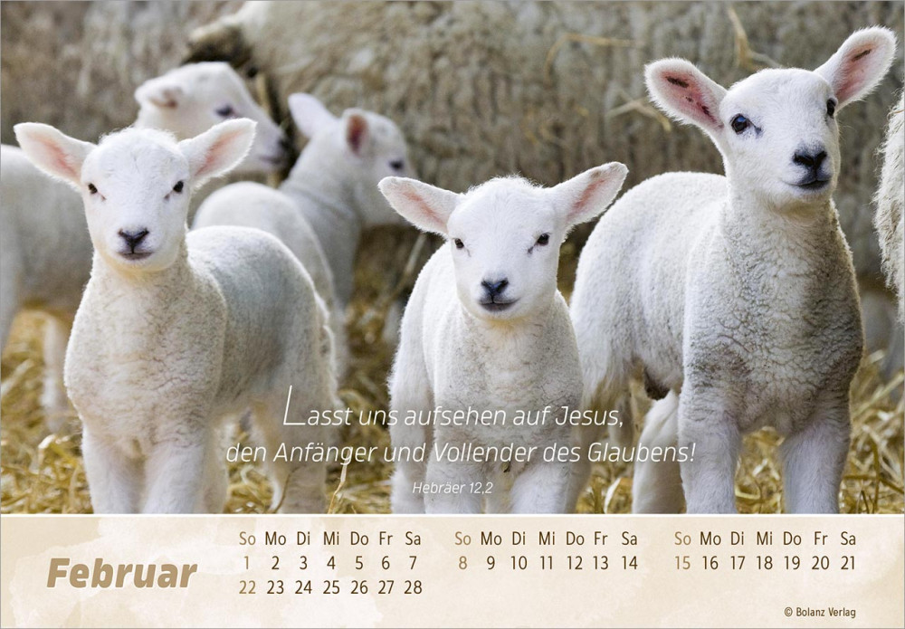 Der gute Hirte - Panoramakalender