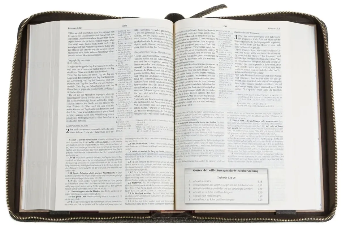 Étui pour Bible « Texas » pour Bible d'étude MacArthur