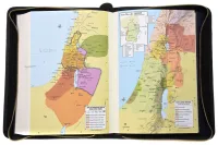 Édition standard Schlachter 2000 avec étui en cuir véritable - Étui en cuir véritable légèrement...