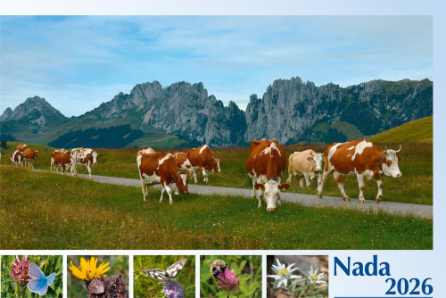 Kroatisch - Deutsch, Bildkalender Hoffnung - Monatskalender