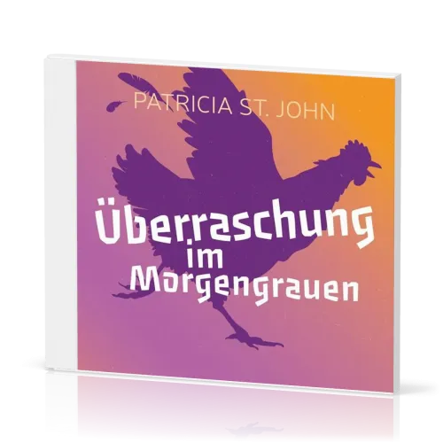 Überraschung im Morgengrauen - Hörbuch MP3-CD