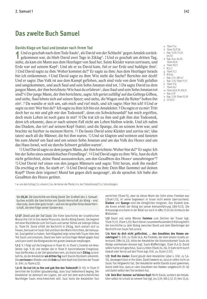 Elberfelder Bibel - Leder mit Goldschnitt - Die große Studien- und Kommentarausgabe