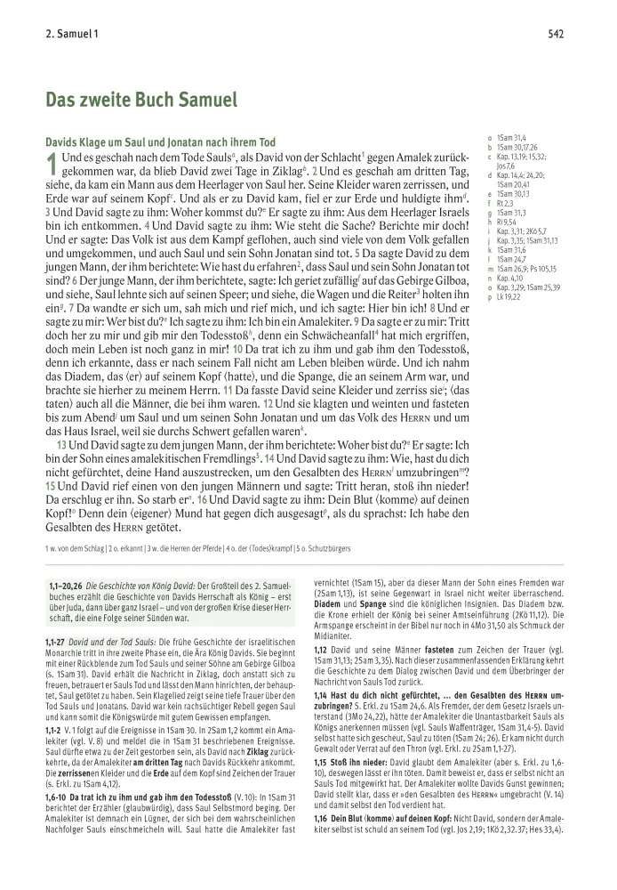 Elberfelder Bibel - Leder mit Goldschnitt - Die große Studien- und Kommentarausgabe