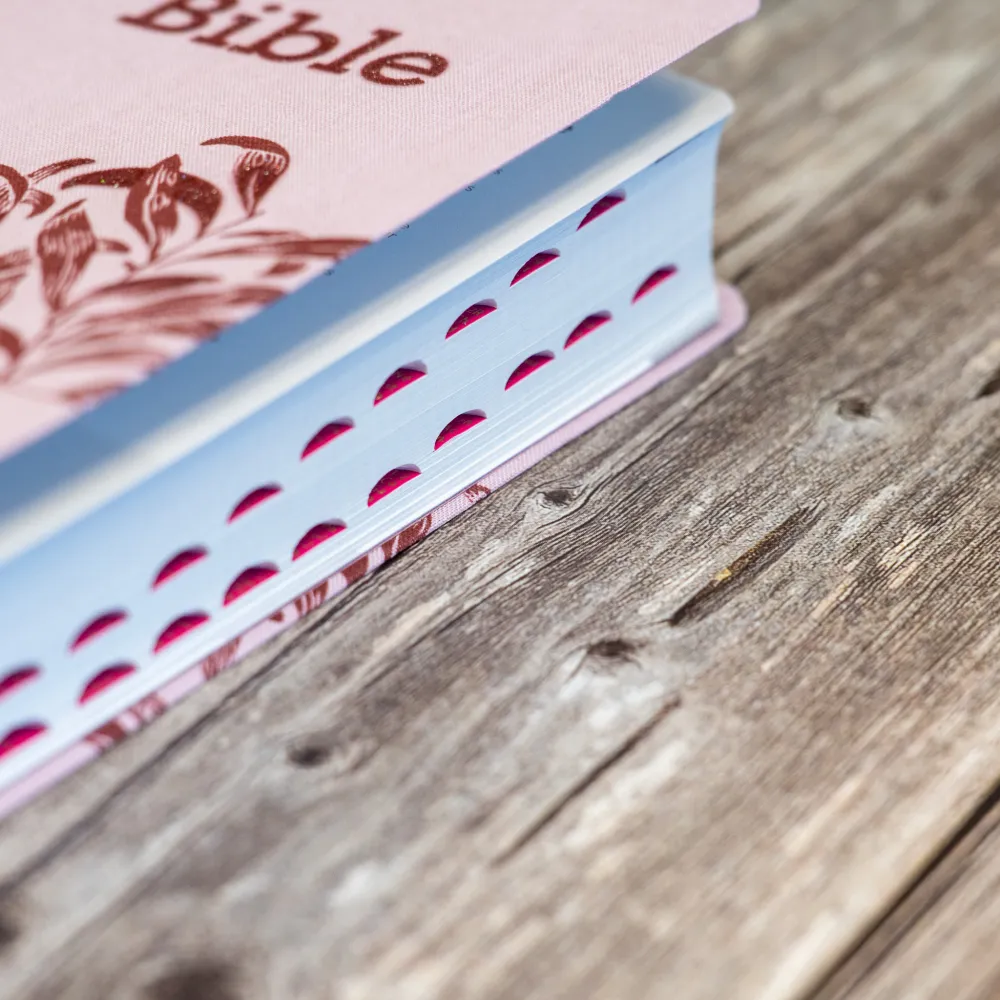 Bible Segond 21 compacte (Premium Style) - couverture souple, toile rose avec paillettes et onglets