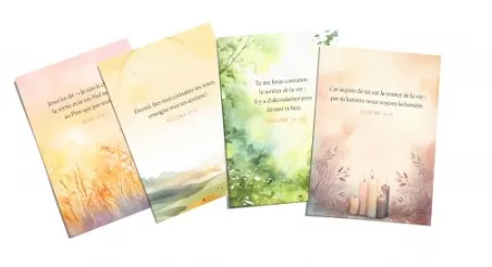 Coffret de 100 mini-cartes versets "Vie et Lumière"