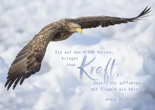 Postkarte neue Kraft - Jesaja 40,31