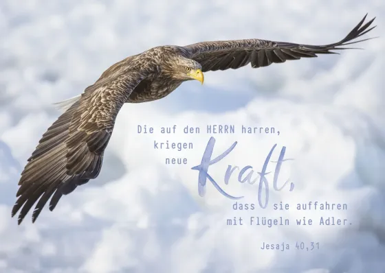 Postkarte neue Kraft - Jesaja 40,31