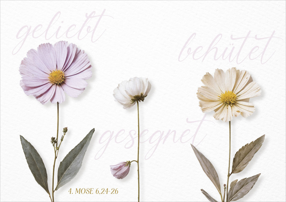 Faltkarte geliebt - behütet - gesegnet - 4. Mose 6,24-26