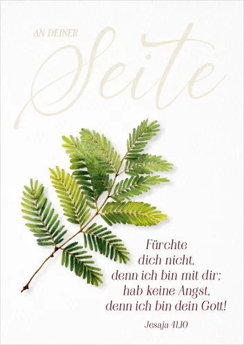 Faltkarte Jahreslosung 2027 Zweig - Jesaja 41,10