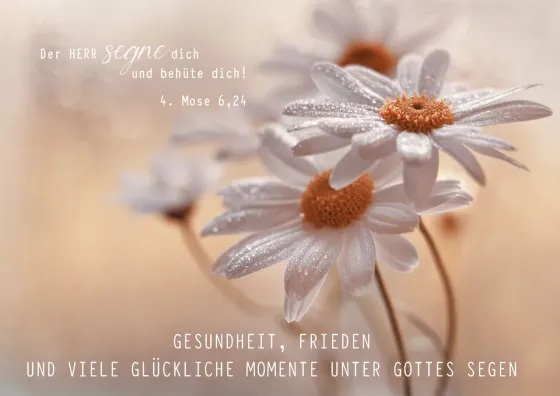 Faltkarte Geburtstag - 4. Mose 6,24