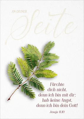 Poster A2 Jahreslsoung 2027 Zweig - Jesaja 41,10