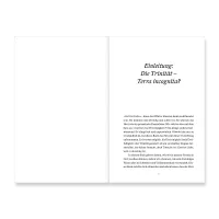 Fasziniert - Staunen über den dreieinigen Gott