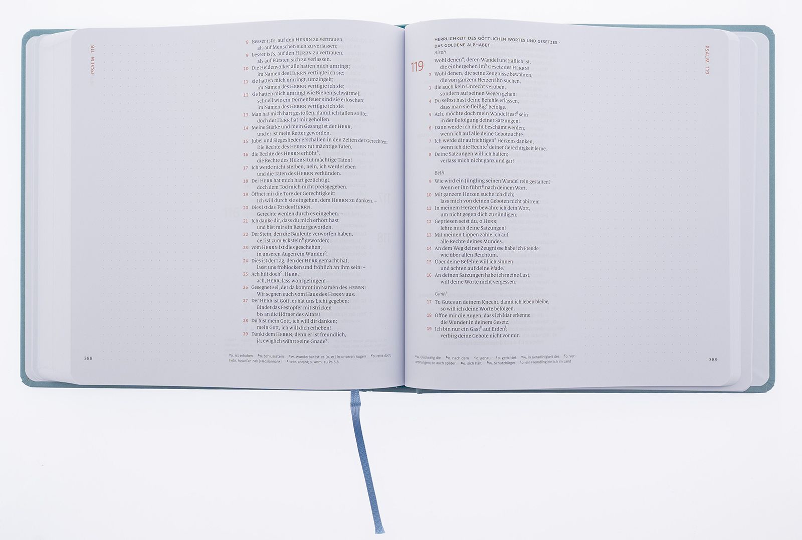 Bibel Menge 2020, Schreibrand - 4 Bände im Schuber (3 AT-Bände und 1 NT-Band) - Journaling Edition