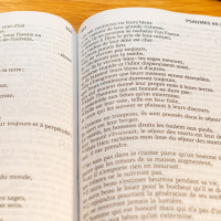 Bible Segond 21, gros caractères - couverture rigide et illustrée