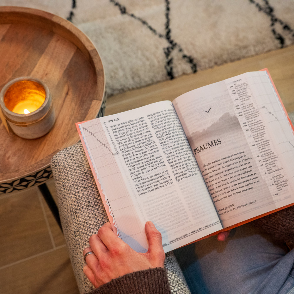 Bible Segond 21, gros caractères - couverture rigide et illustrée