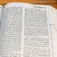 Bible Segond 21, gros caractères - couverture rigide et illustrée