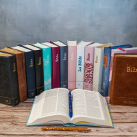 Bible Segond 21 compacte (Premium Style) - couverture souple, cuir brun, avec tranches dorées