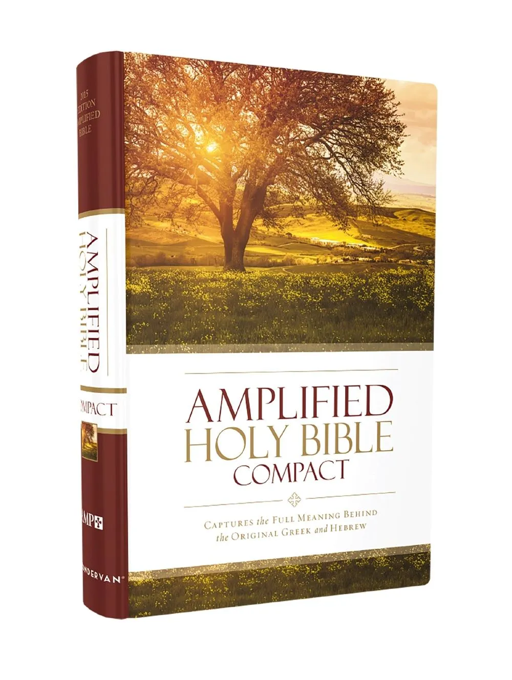 Anglais, Bible Amplified, compact, rigide, brune avec jaquette illustrée