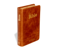 Bible Segond 21 compacte (Premium Style) - couverture souple, cuir brun, avec tranches dorées