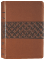 Anglais, Bible d'étude Christian Standard Bible, brune
