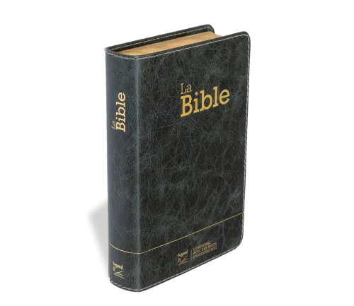 Bible Segond 21 compacte (Premium Style) - couverture souple, cuir anthracite, avec tranches dorées