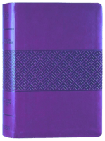 Anglais, Bible d'étude Christian Standard Bible, bordeaux