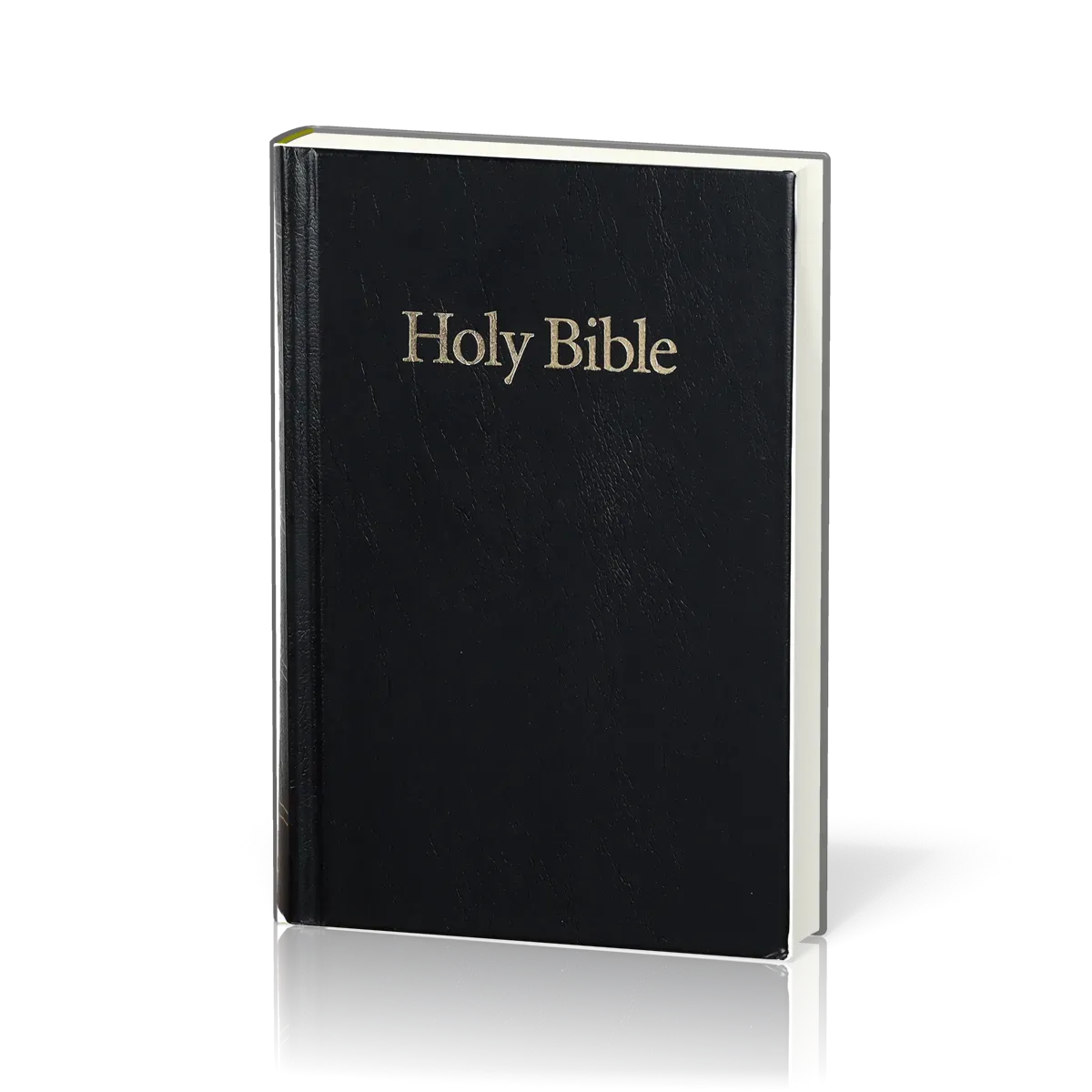 Anglais, Bible, King James Version, cartonnée, noire