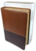 Espagnol, Bible, Reina Valera 1960 - Biblia Devocional, "Los Lenguajes del Amor", Gary Chapman