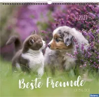 Beste Freunde - Ich mag dich - Posterkalender