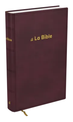 Bible Darby révisée format standard, rigide brun-rouge