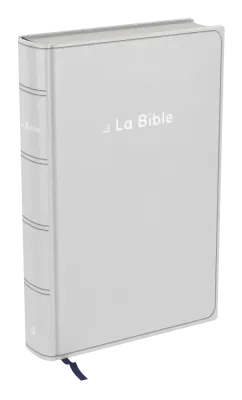 Bible Darby révisée format standard, souple gris, tranche argent