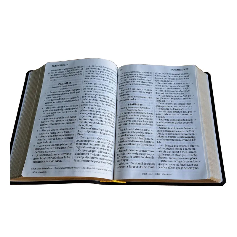 Bible Darby édition de Rolle gros caractères, grand format, cuir noir, souple