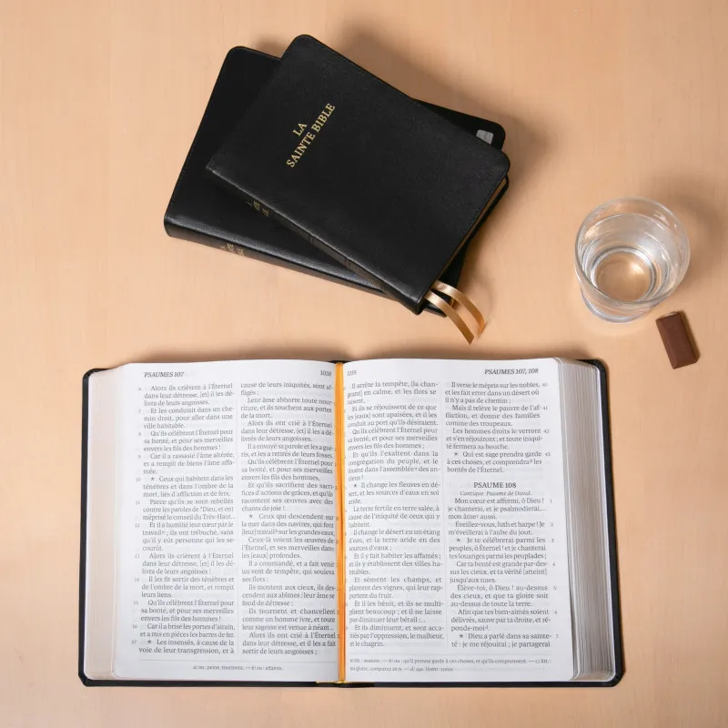 Bible Darby édition de Rolle gros caractères, grand format, cuir noir, souple