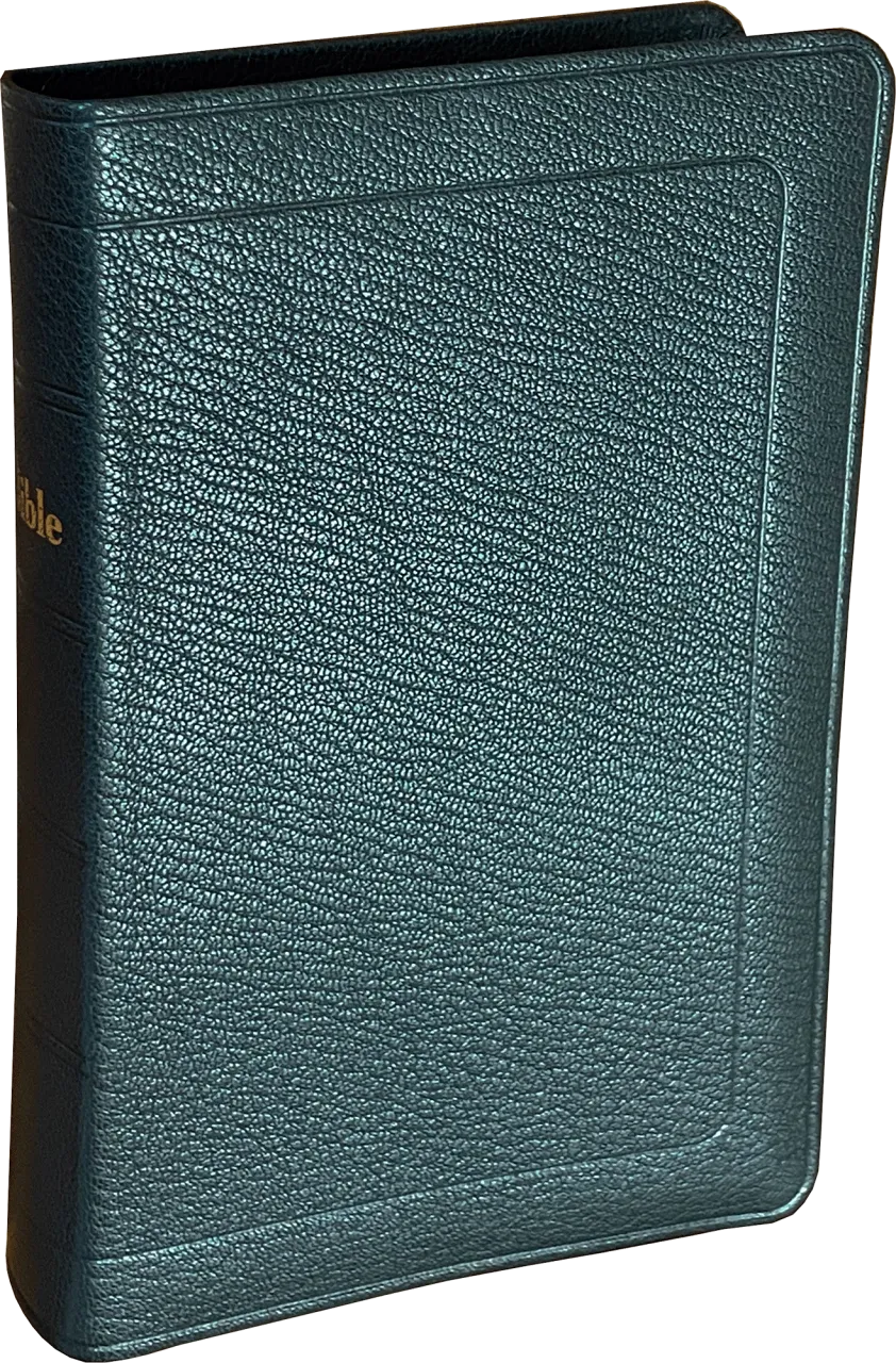 Bible Darby, format compact, cuir véritable noir, avec boîtier