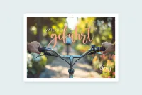 Postkarten Bundle | Frühlingsedition Bärbel