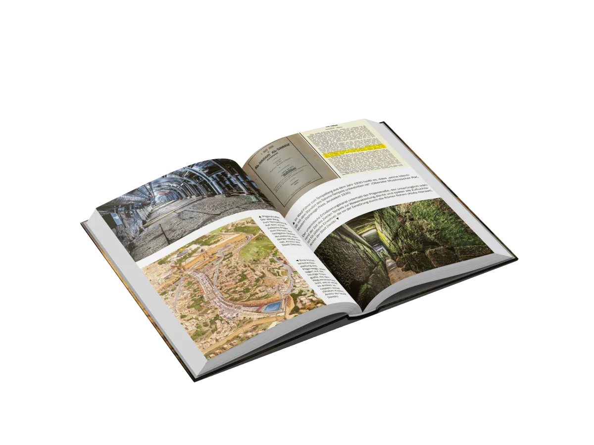 Wenn die Steine sprechen - Die bemerkenswerte Entdeckung der Stadt Davids & was Israels Feinde...