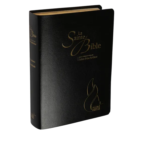 Bible d'étude Segond NEG MacArthur, noire - couverture souple, fibrocuir, tranche or