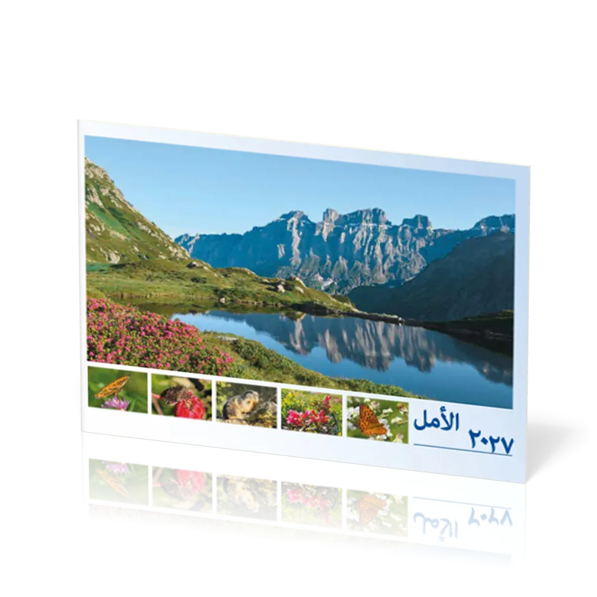 Arabisch - Deutsch, Bildkalender Hoffnung - Monatskalender