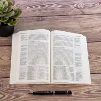 Allemand NGÜ, Nouveau Testament avec Psaumes et Proverbes - Broché Design Edition