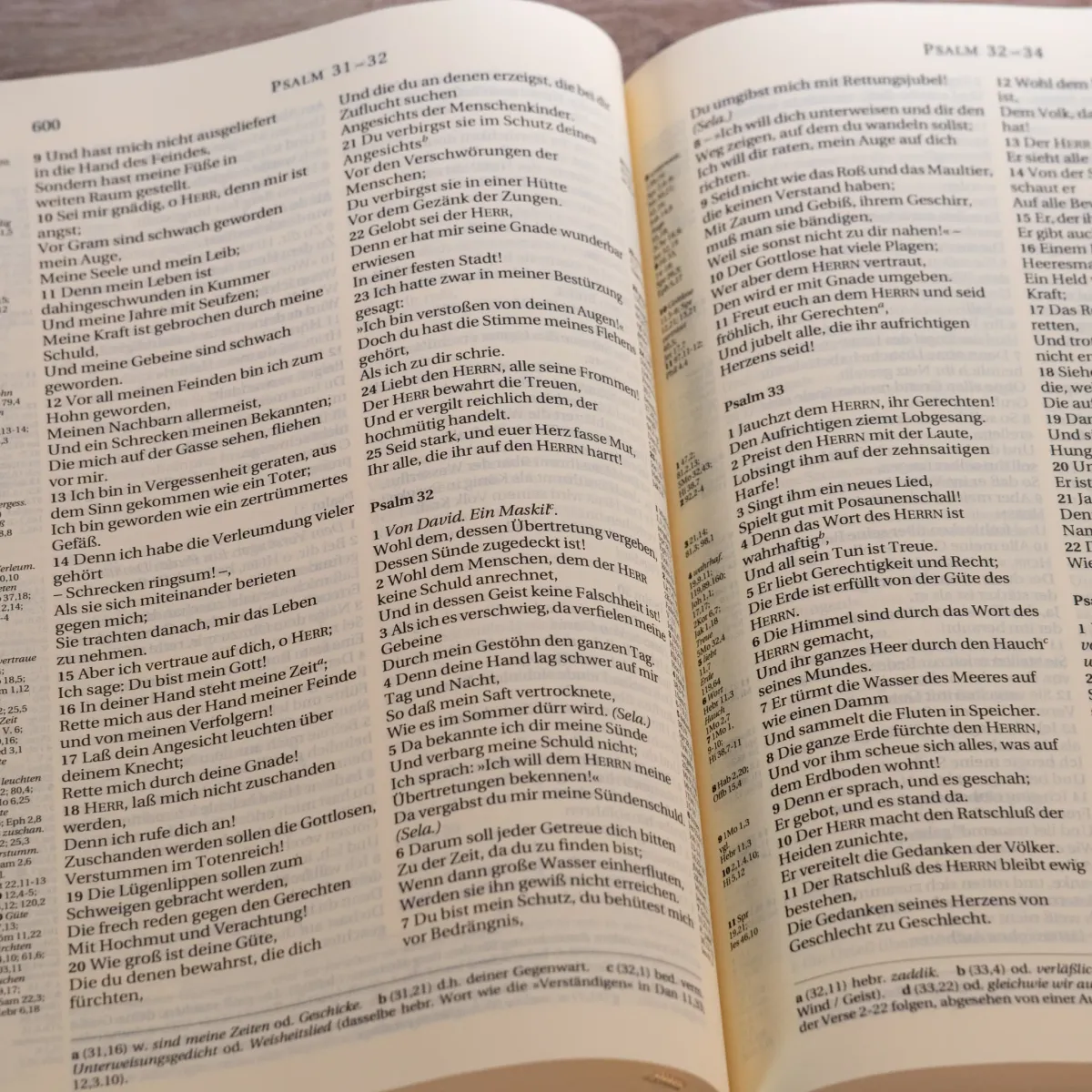 Allemand, Bible d'étude Schlachter 2000 - rigide imprimée