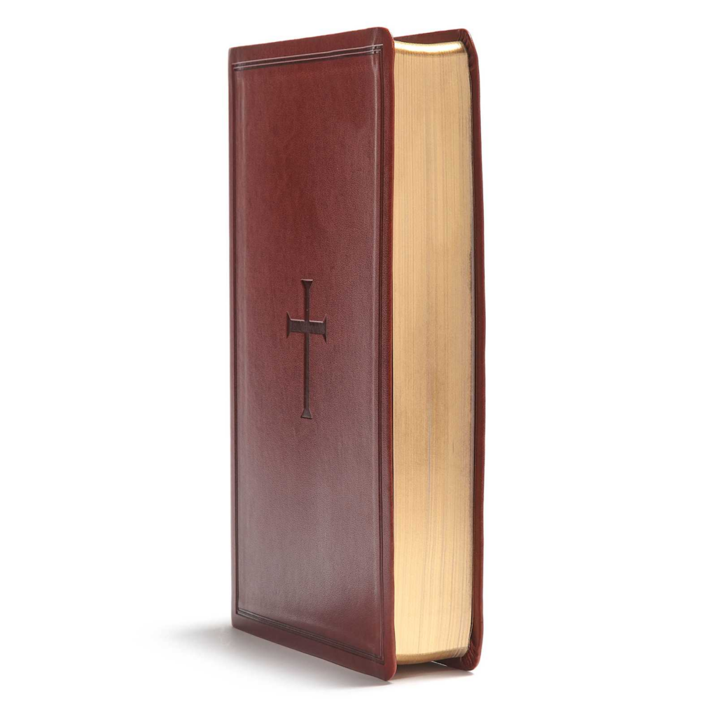 Anglais, Bible KJV, très gros caractères, similicuir, brune